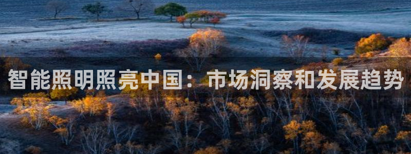 云顶国际部HKDSE