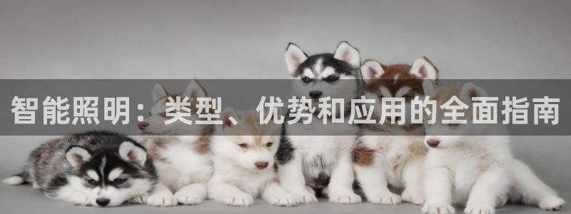 云顶国际服怎么下