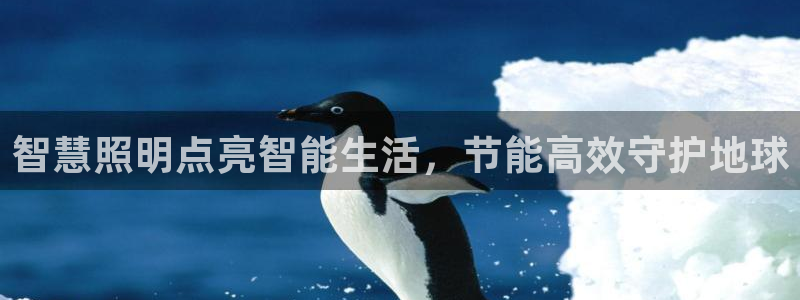 云顶国际商务会所怎么样