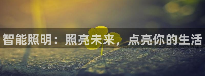 云顶集团公司简介