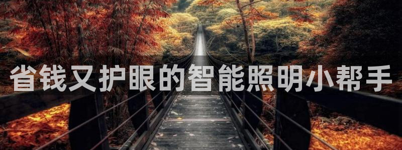 云顶国际部HKDSE