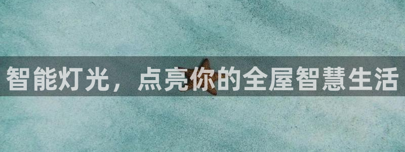 云顶国际商业广场A座101电话