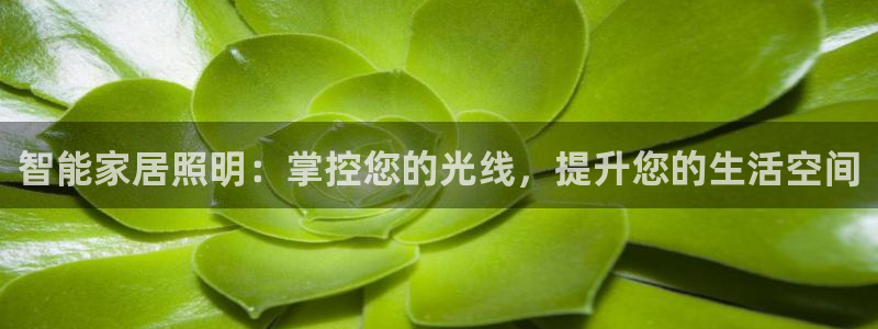 云顶2021