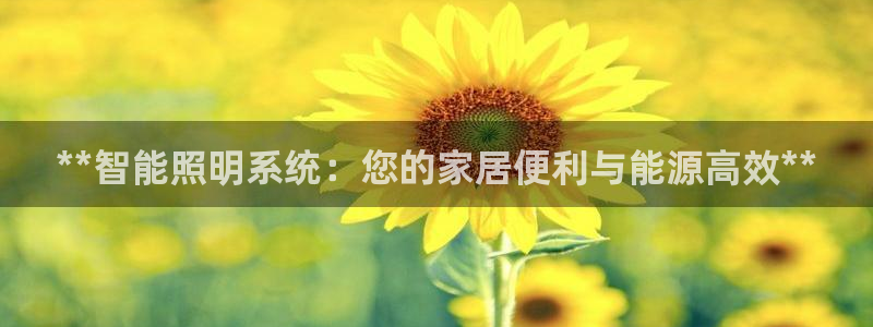 云顶国际平台游戏可靠吗