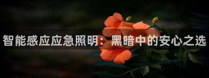 云顶国际和百姓渔村