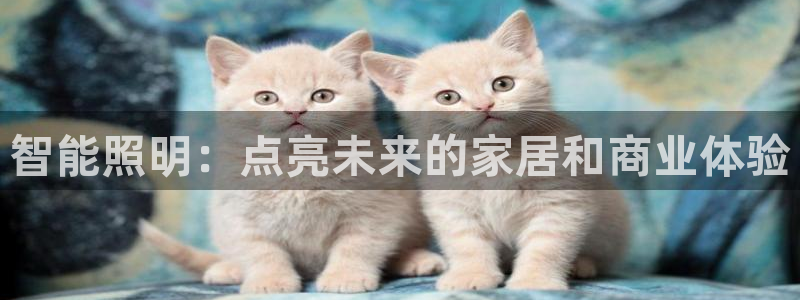 云顶国际晟荣协会