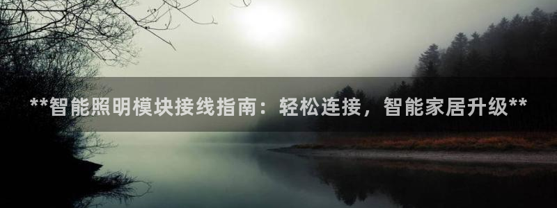 云顶集团网投领头