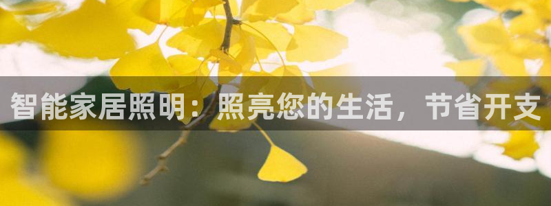 云顶国际app官方下载安装最新版