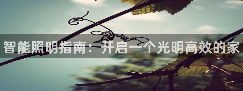 云顶国际是正规平台吗安全吗