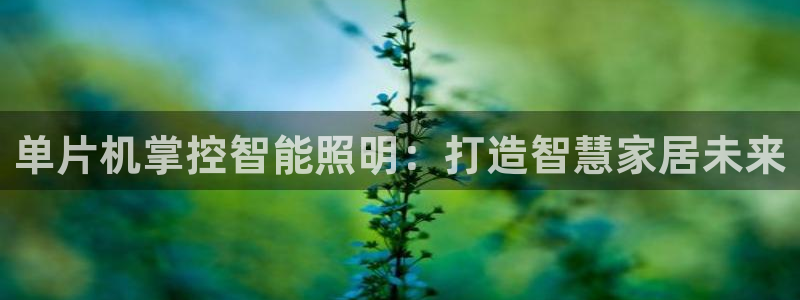 18183云顶