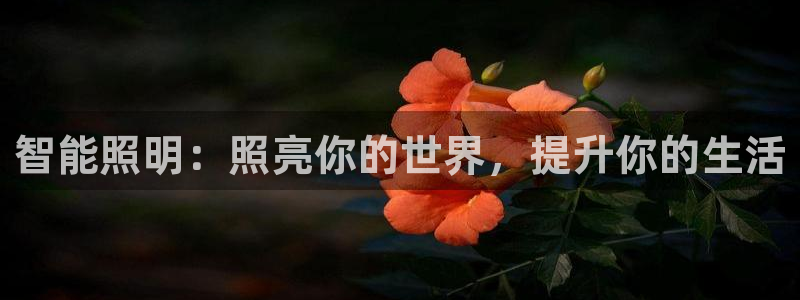 云顶国际服更新时间是多久
