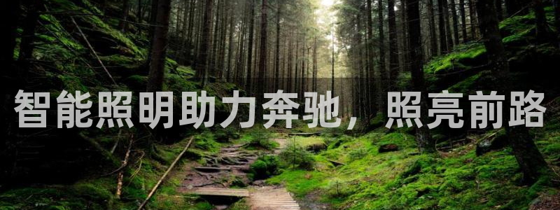 云顶国际的网址是多少位