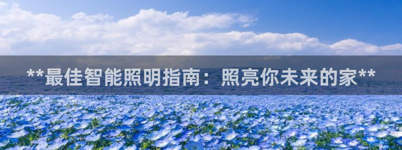 云顶国际服选哪个服务器好