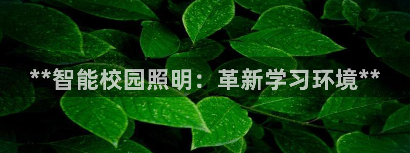 云顶国际俱乐部怎么样
