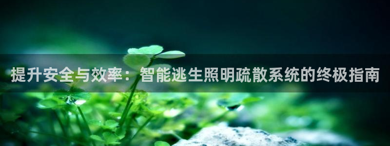 云顶集团公司简介
