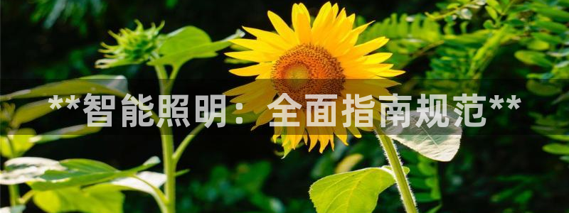 云顶国际地址