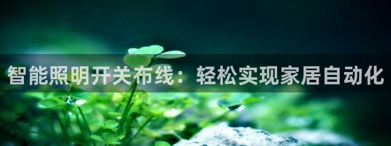云顶集团游戏app8800
