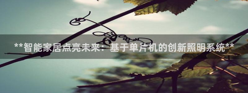 云顶集团网站多少