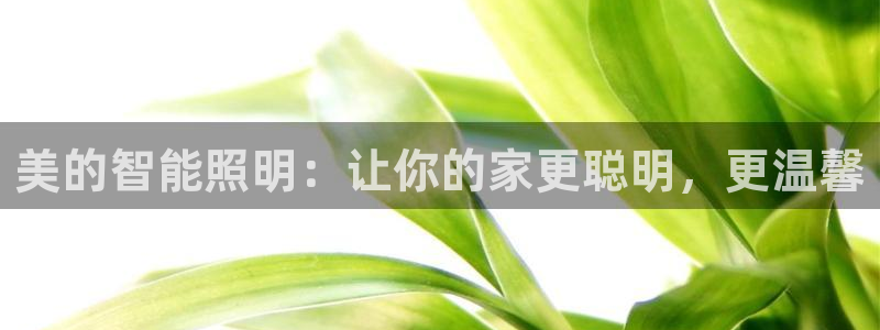 云顶国际旅行社