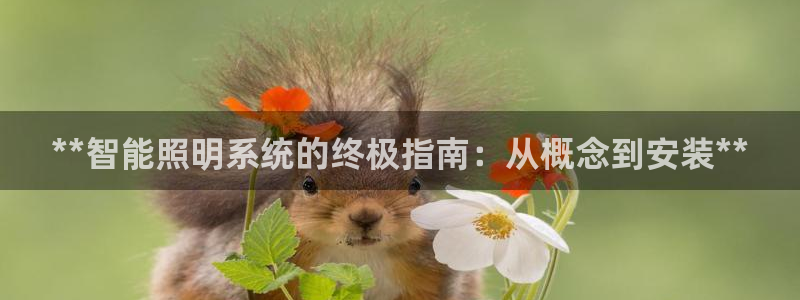 云顶集团有限公司简介地址