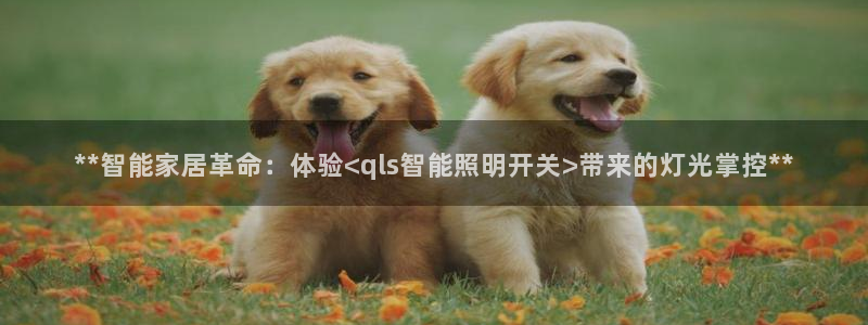 云顶国际能提现吗知乎