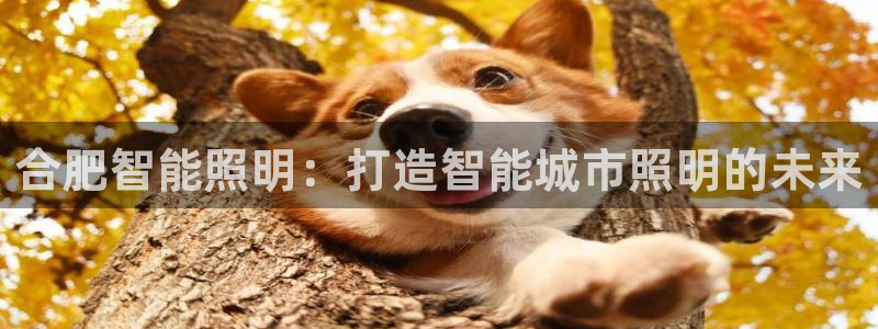 云顶集团welcome官网