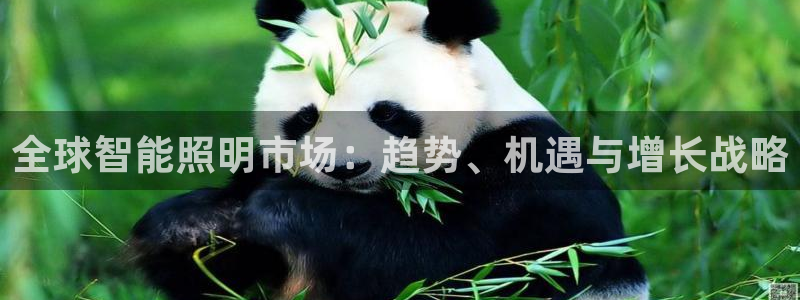 云顶国际会议中心