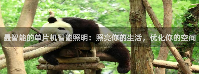 云顶网上官网