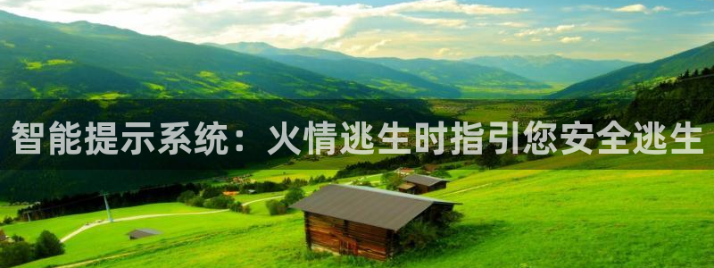 云顶国际服账号交易