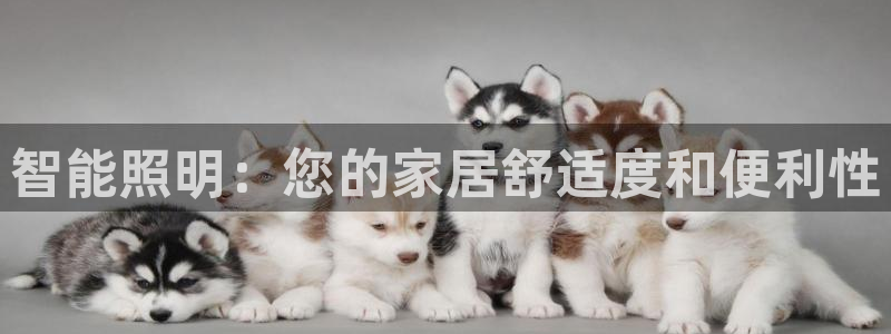 云顶国际服叫啥
