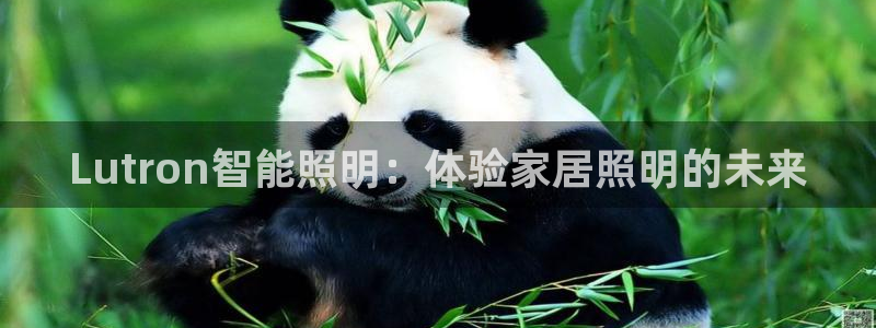 云顶国际北大街