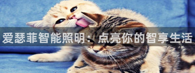 云顶国际服什么时候更新s10的