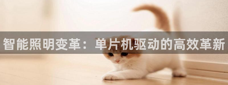 云顶国际体育官方网站入口
