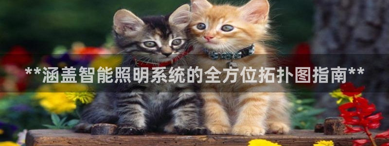 云顶com
