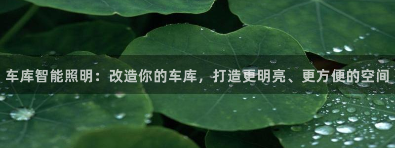 云顶集团董事长林东简历图片