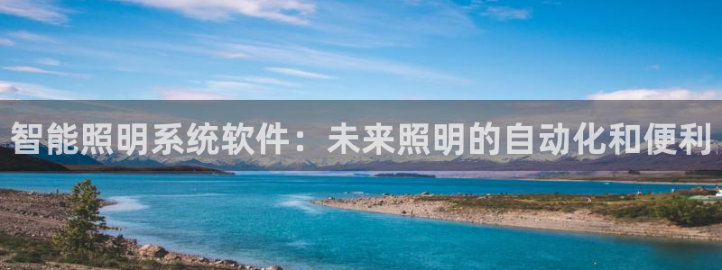 云顶国际服能用谷歌登录吗