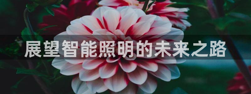 云顶国际大酒店房间价格表