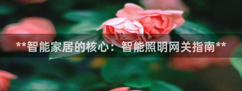 云顶国际是正规游戏吗安全吗