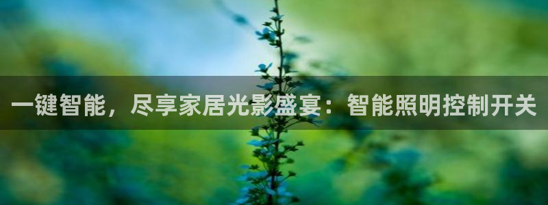 云顶集团rt电子游戏