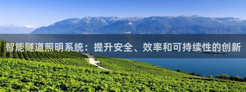 yd2333云顶电子游戏