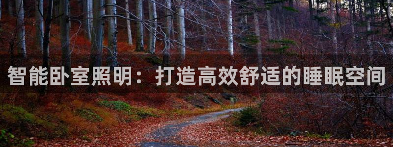 云顶国际体育