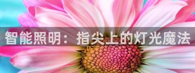 云顶国际集团发展有限公司国内项目总经理
