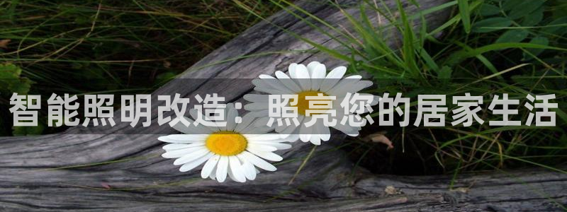 云顶国际游戏