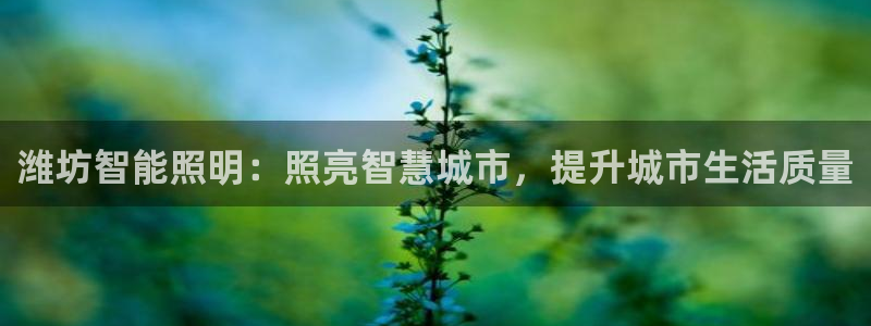 云顶国际不出款