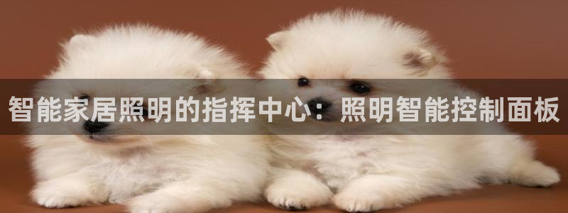 上海云顶国际商业广场