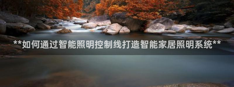 云顶国际晟荣协会会长是谁