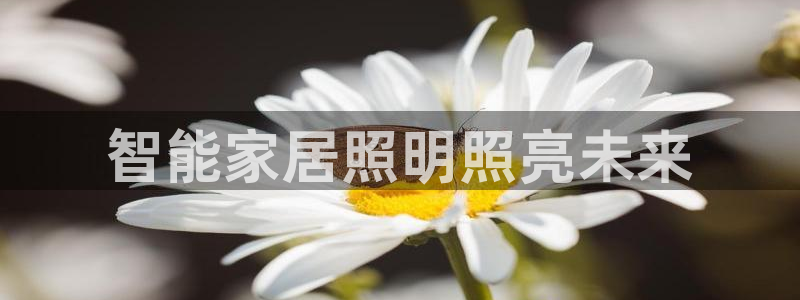 云顶官网网址