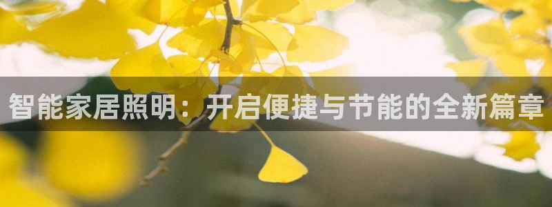 云顶国际集团官网