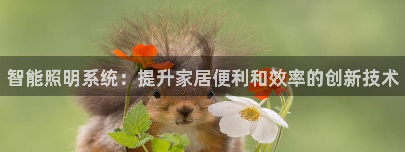 云顶国际地产