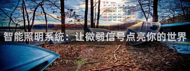 云顶国际A405
